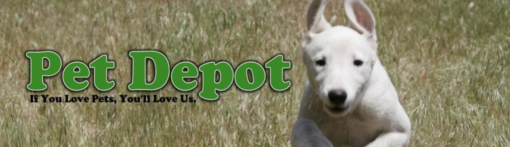 Pet Depot Blog